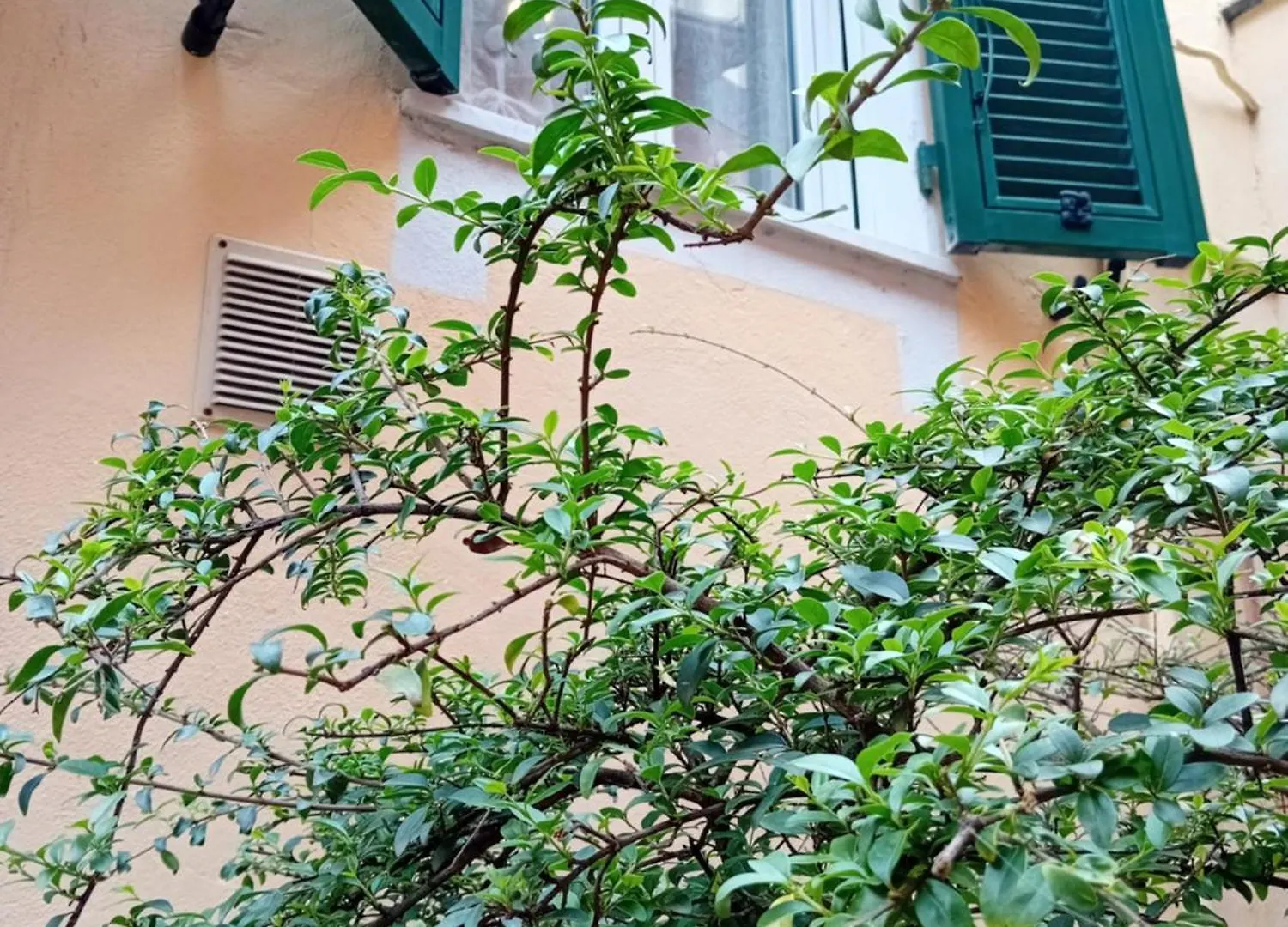 Appartamento Il Vicolo La Spezia Cinque Terre 0*,  Italia